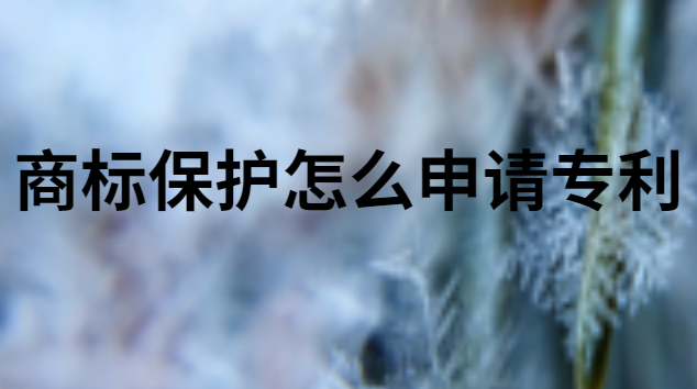 石獅商標(biāo)專(zhuān)利申請(qǐng)代理(食品商標(biāo)怎么申請(qǐng)專(zhuān)利)