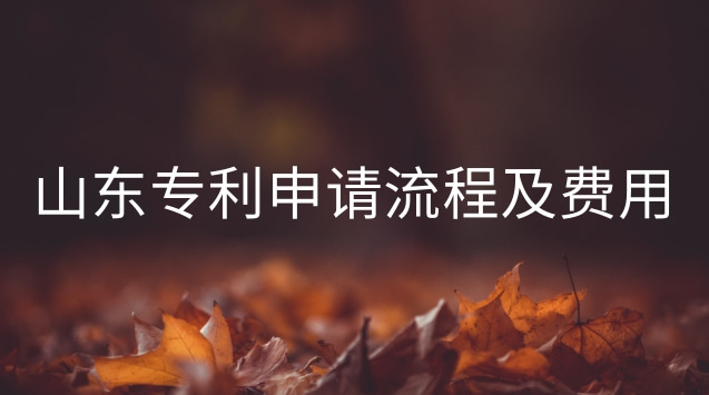 晉城專(zhuān)利申請(qǐng)流程詳細(xì)步驟及費(fèi)用(山東專(zhuān)利申請(qǐng))